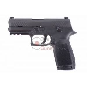 Sig Sauer P320 Carry .40 S&W Night Sights