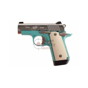 Kimber Micro Bel Air (NS) - .380 ACP