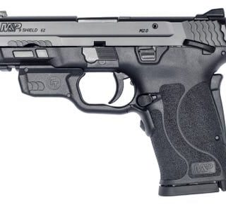 Smith and Wesson M&P9 Shield EZ with Crimson Trace Laserguard 9mm 3.6" Barrel 8-Round MS