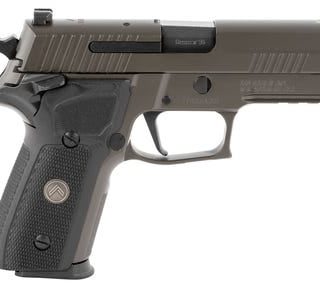 Sig Sauer P229 Compact Legion Grey 9mm 3.9" 10-Round