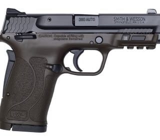 Smith and Wesson M&P380 Shield EZ Patriot Brown .380 ACP 3.6" Barrel 8-Rounds MS