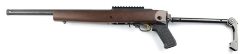 Ruger 10/22 aftermarket stock