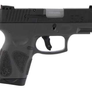 Buy Taurus G2S. .40 S&W