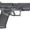SPRINGFIELD ARMORY ECHELON (3-DOT) - Image 6
