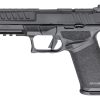 SPRINGFIELD ARMORY ECHELON (3-DOT) - Image 7