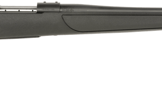 WEATHERBY VANGUARD OBSIDIAN 2024 (.25-06 REM)